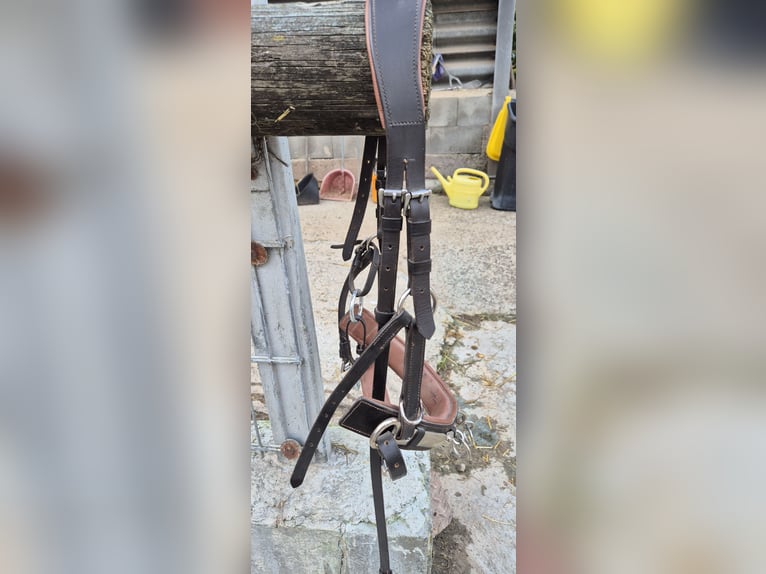 Heinick Profi Leder Kappzaum 