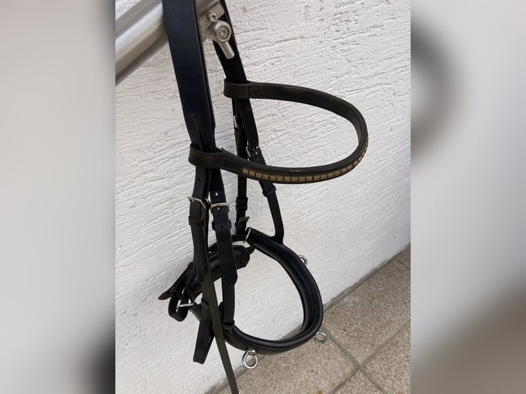 Hennig Kappzaum NP ca 500€
