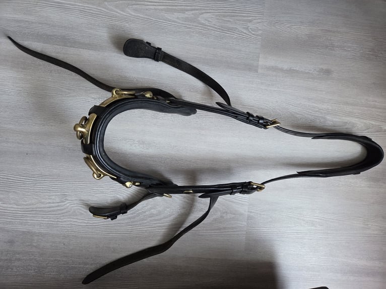 Kappzaum für Kaltblut (Marke Loesdau) Kappzaum für Kaltblut (Marke Loesdau)