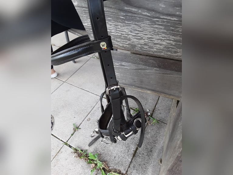Kappzaum Größe cop