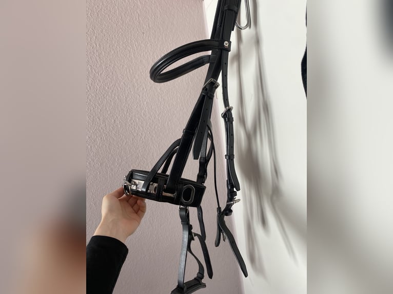 Kappzaum Größe Warmblut