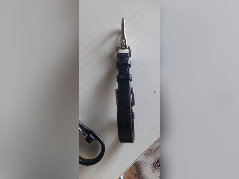 Kappzaum Kiefer,  schwarz Warmblut