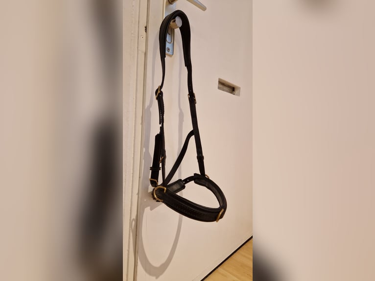 Kappzaum ohne Eisen WB Leder Schwarz Sidepull gebisslose Trense