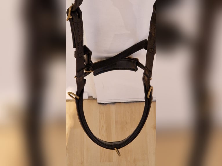 Kappzaum ohne Eisen WB Leder Schwarz Sidepull gebisslose Trense