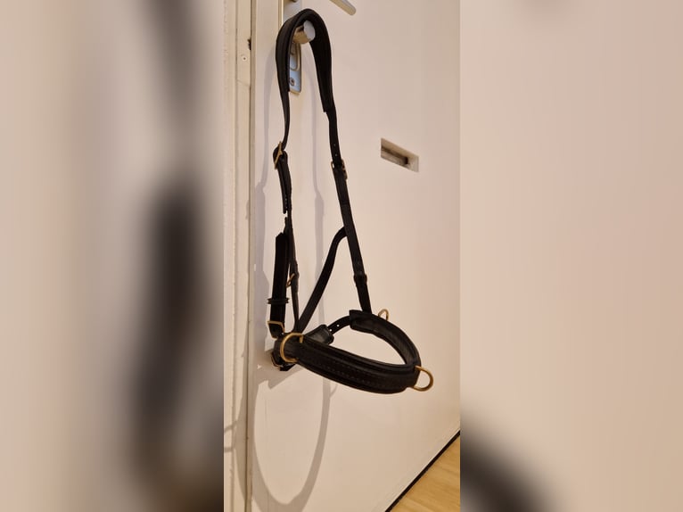 Kappzaum ohne Eisen WB Leder Schwarz Sidepull gebisslose Trense