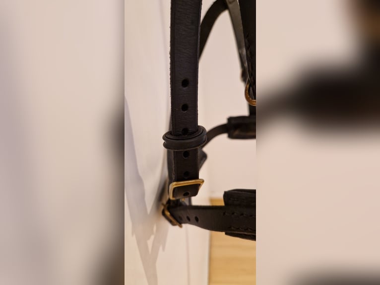 Kappzaum ohne Eisen WB Leder Schwarz Sidepull gebisslose Trense