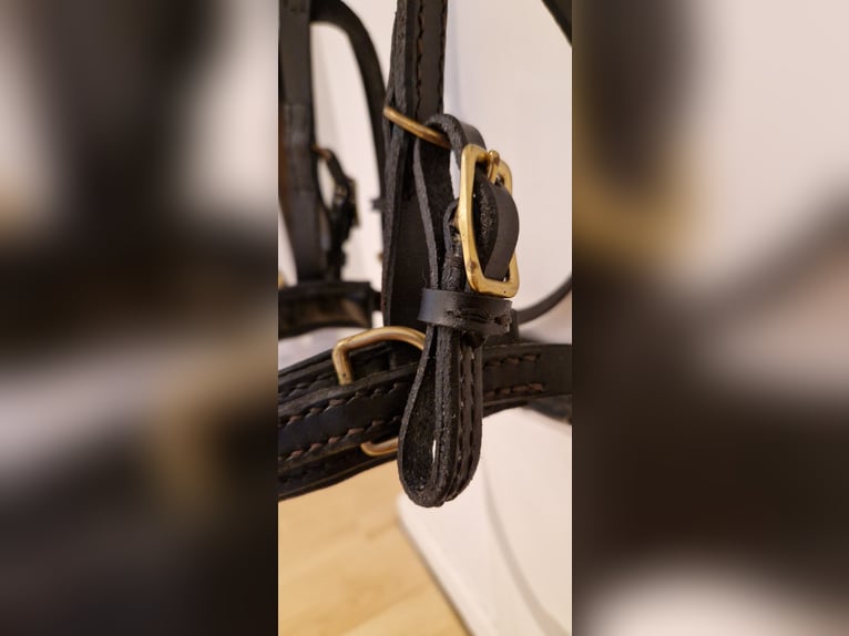 Kappzaum ohne Eisen WB Leder Schwarz Sidepull gebisslose Trense