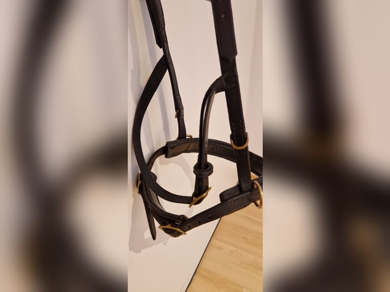 Kappzaum ohne Eisen WB Leder Schwarz Sidepull gebisslose Trense