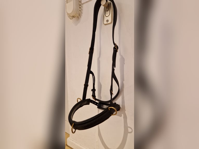Kappzaum ohne Eisen WB Leder Schwarz Sidepull gebisslose Trense