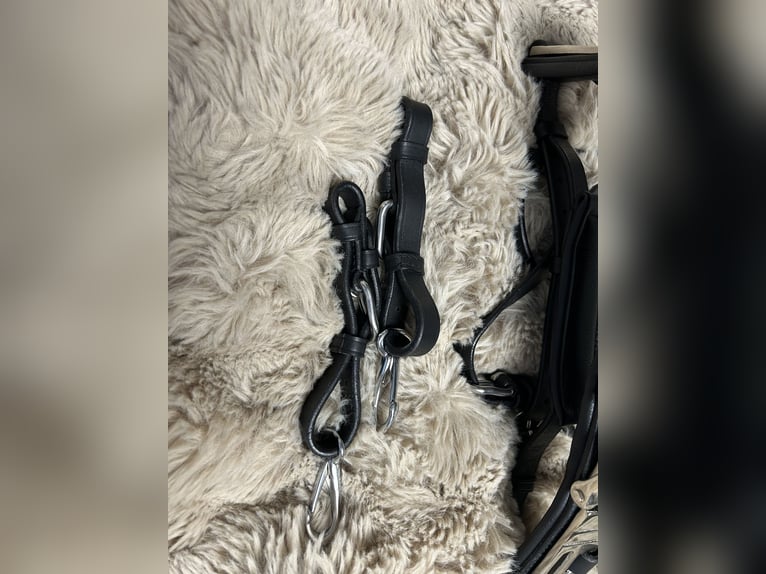 Kappzaum X FULL | inkl. Stirnriemen | mit Naseneisen