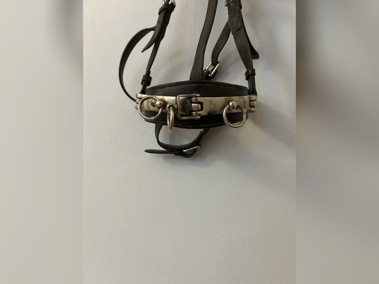 Kiefer Kappzaum WB 