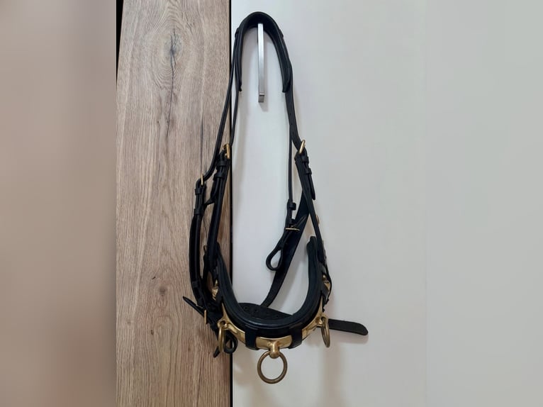 Leder Kappzaum Warmblut