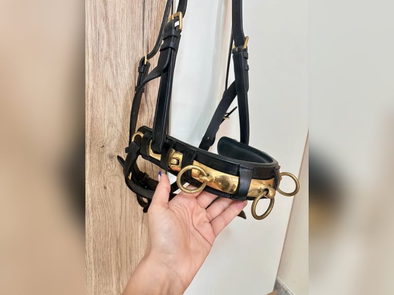 Leder Kappzaum Warmblut