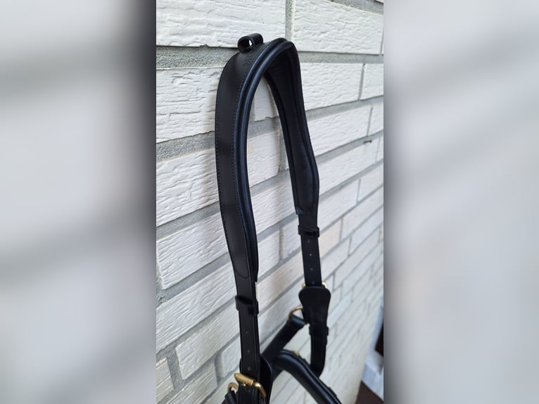 Montivum Kappzaum Leder WB - neu - 