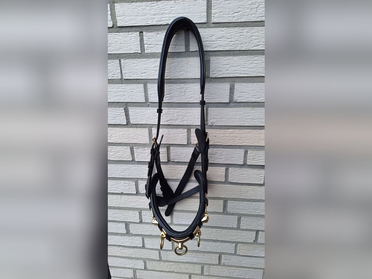 Montivum Kappzaum Leder WB - neu - 