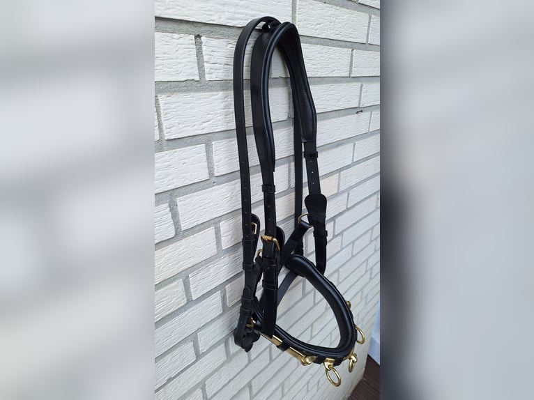 Montivum Kappzaum Leder WB - neu - 