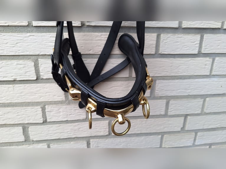 Montivum Kappzaum Leder WB - neu - 