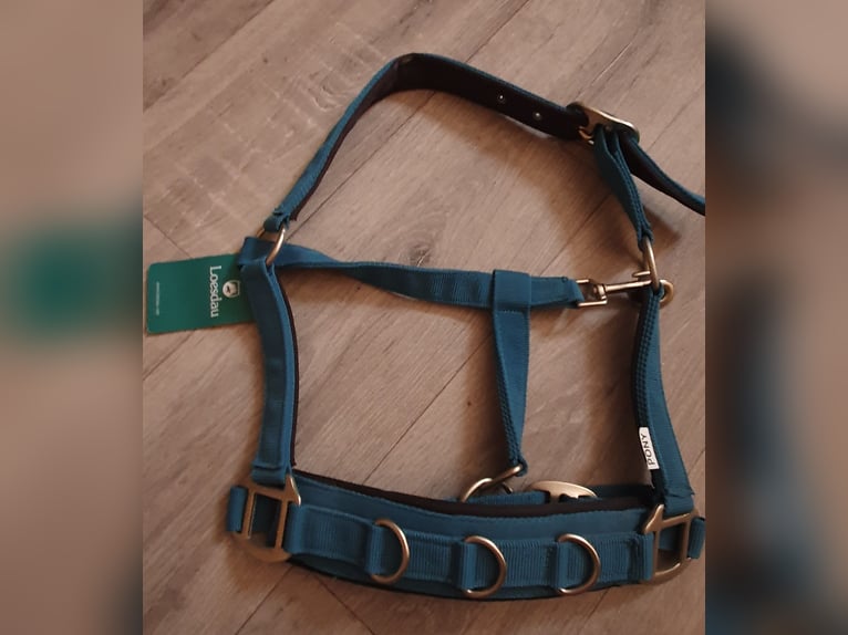 Pony Stall & Longierhalfter Horse Friends mit Etikett