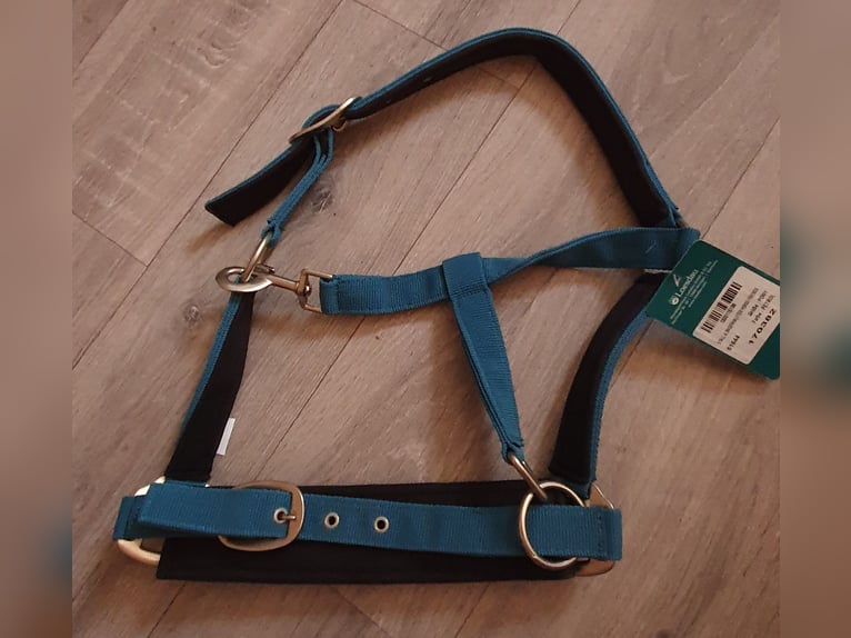 Pony Stall & Longierhalfter Horse Friends mit Etikett