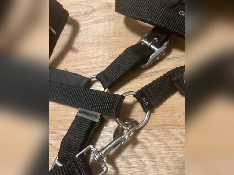 schwarze Kappzaum showmaster cob