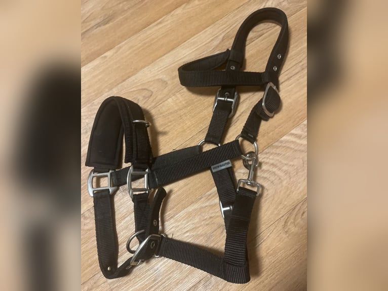 schwarze Kappzaum showmaster cob