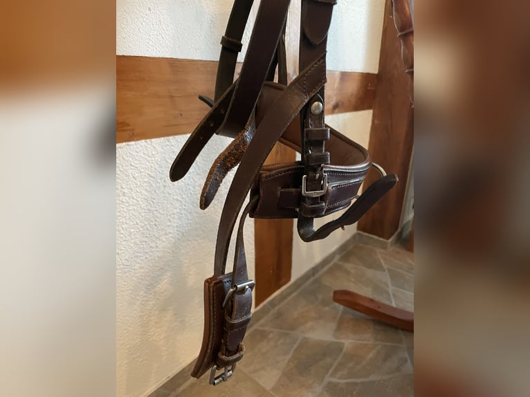 Solibel Kappzaum Pony/ COB