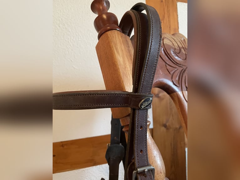 Solibel Kappzaum Pony/ COB