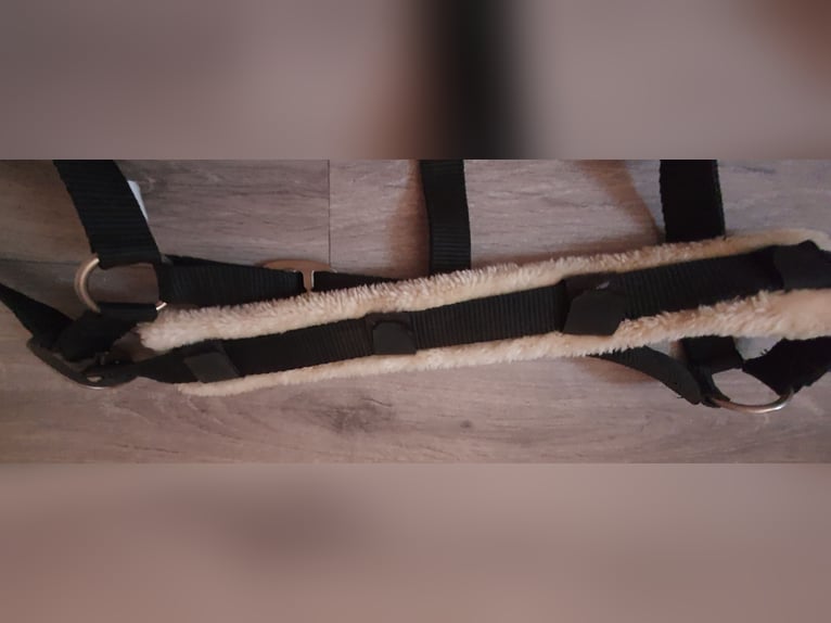 Stall & Longierhalfter Größe Full