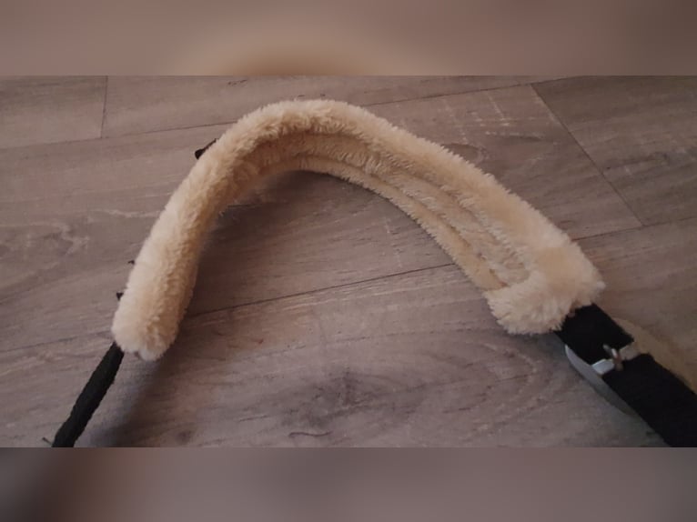 Stall & Longierhalfter Größe Full