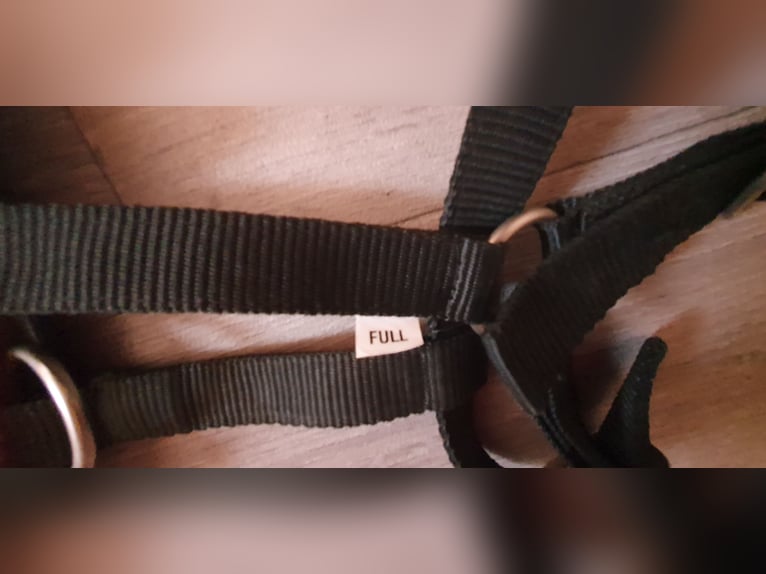 Stall & Longierhalfter Größe Full