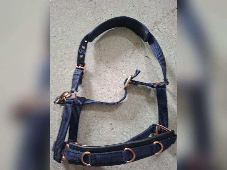 Verkaufe Longierhalfter