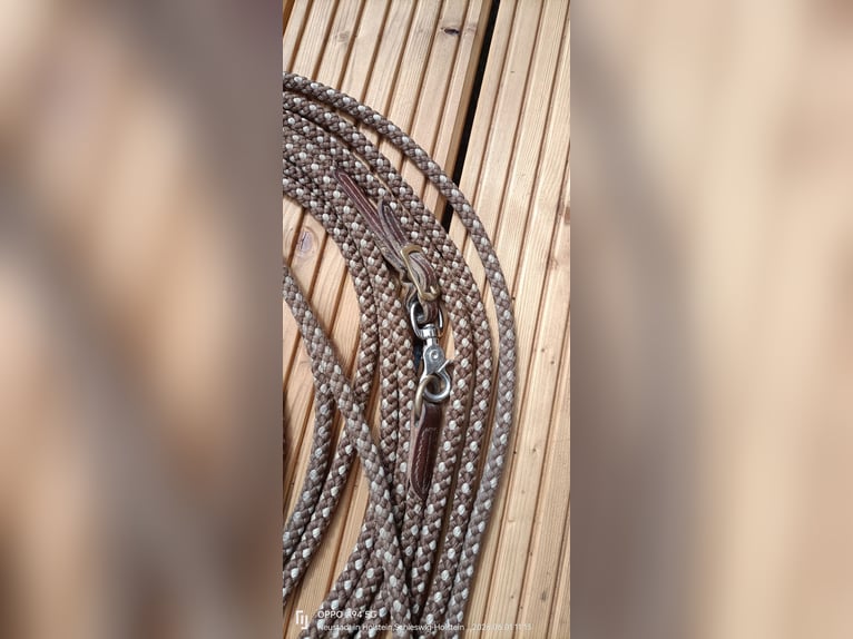 Hillbury Doppellonge 16m