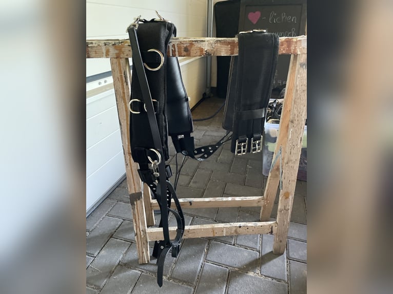 Busse Longiergurt mit Ausbindern Größe M