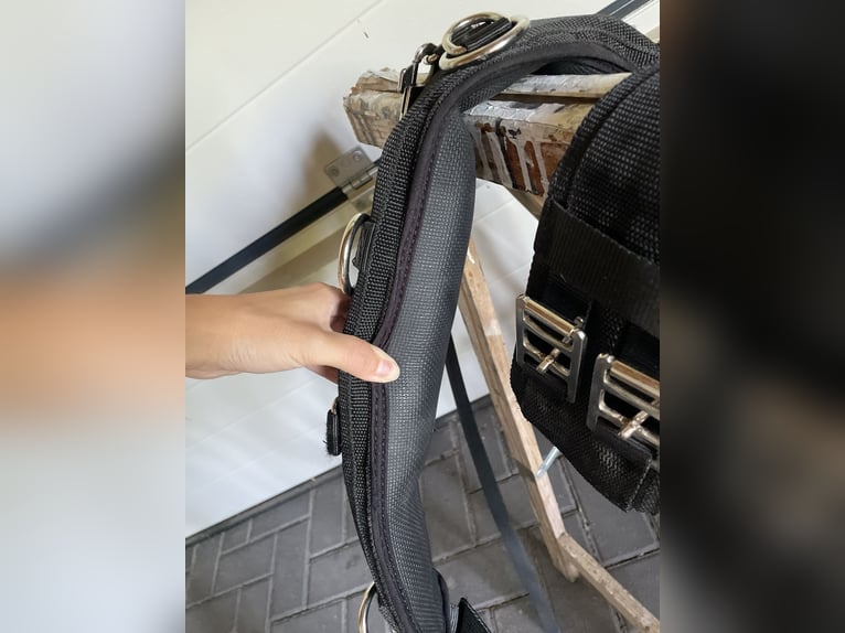Busse Longiergurt mit Ausbindern Größe M