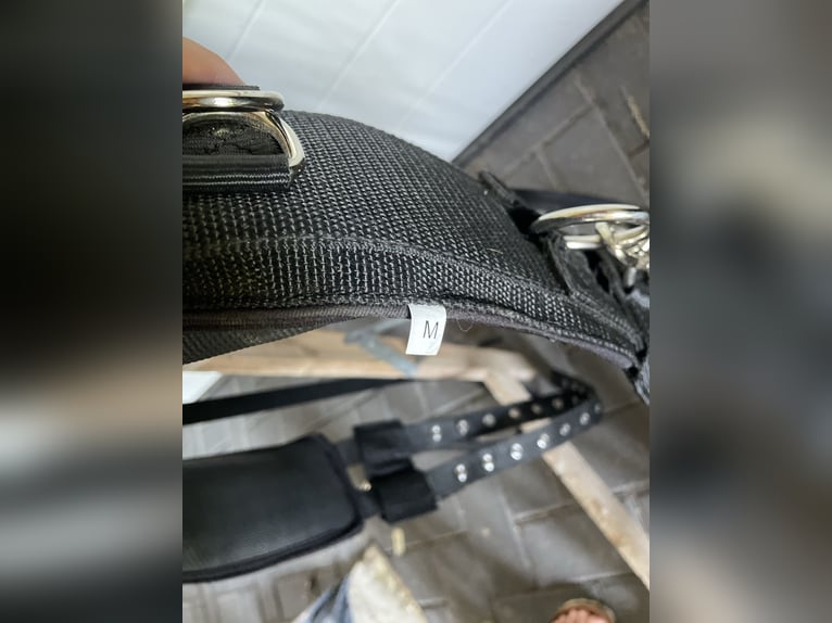 Busse Longiergurt mit Ausbindern Größe M