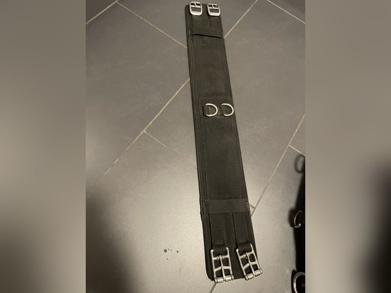 Kieffer Longiergurt WB