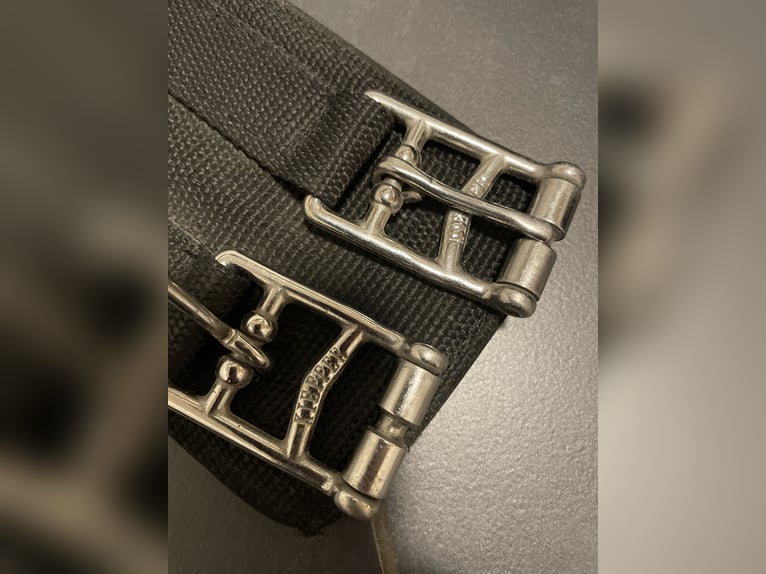 Kieffer Longiergurt WB