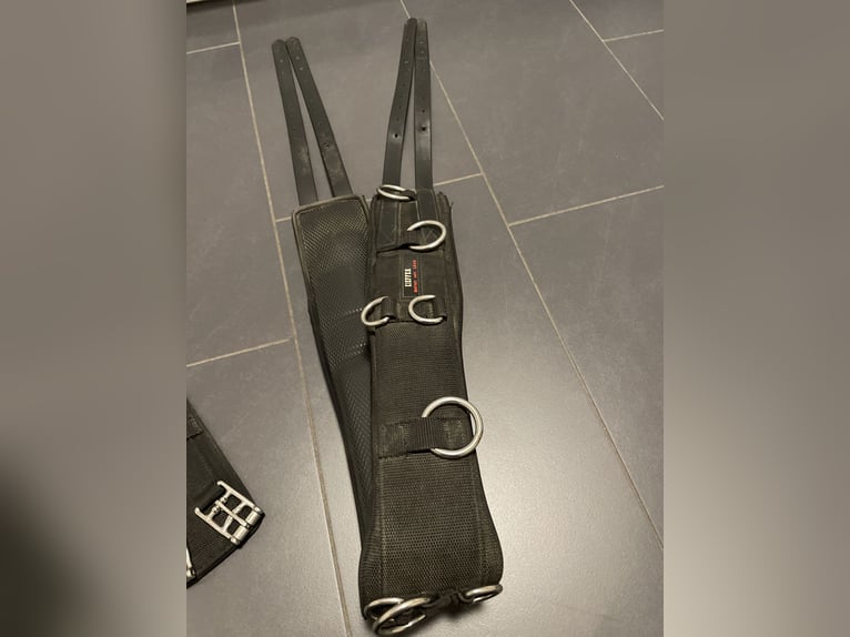 Kieffer Longiergurt WB