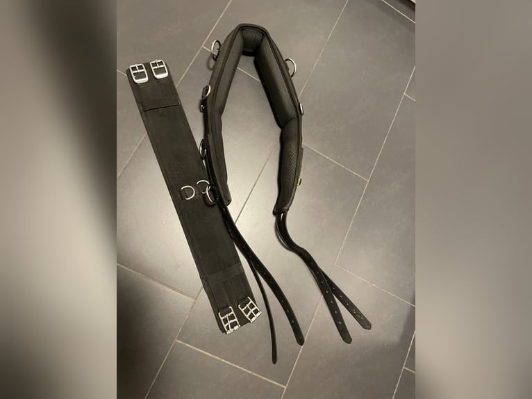 Kieffer Longiergurt WB