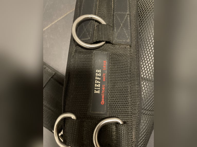 Kieffer Longiergurt WB