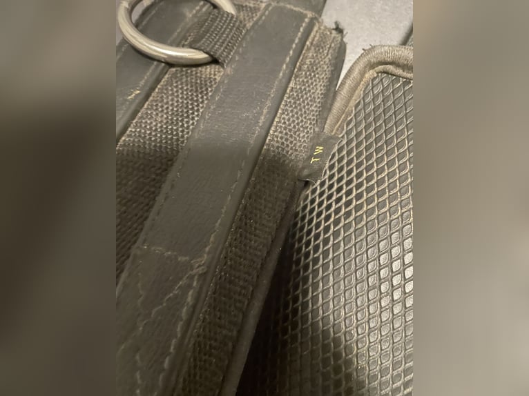 Kieffer Longiergurt WB