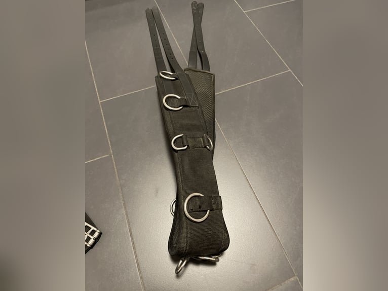 Kieffer Longiergurt WB