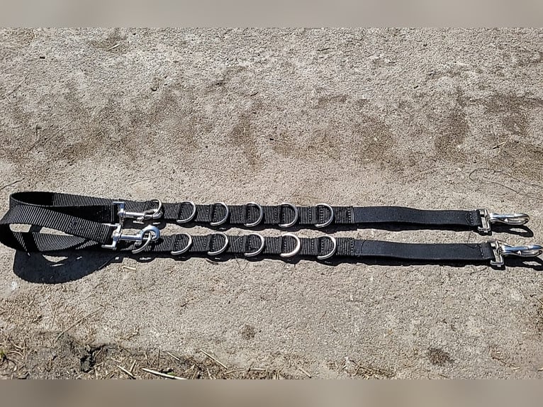 Longiergurt mit Ausbindern in Größe Pony. neuw.