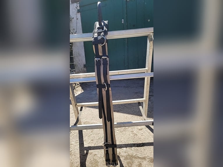 Longiergurt mit Ausbindern in Größe Pony. neuw.