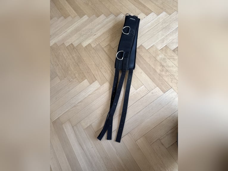 Longiergurt neuwertig 