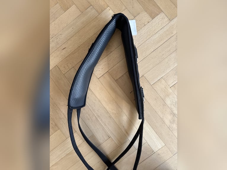 Longiergurt neuwertig 