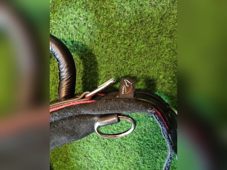 Longtiergürtel / Voltegiergurt 