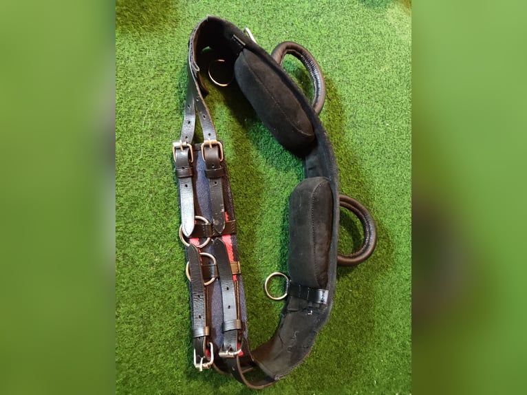 Longtiergürtel / Voltegiergurt 