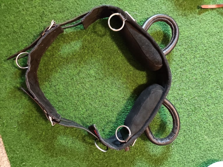 Longtiergürtel / Voltegiergurt 