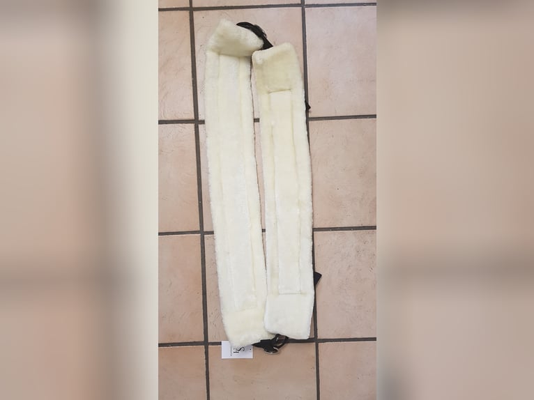 ShowMaster Teddyfleece-Longiergurt Longe 540160-C-S Gr. C (Kleinpferd) Pony ♦ NEU